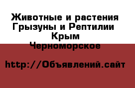 Животные и растения Грызуны и Рептилии. Крым,Черноморское